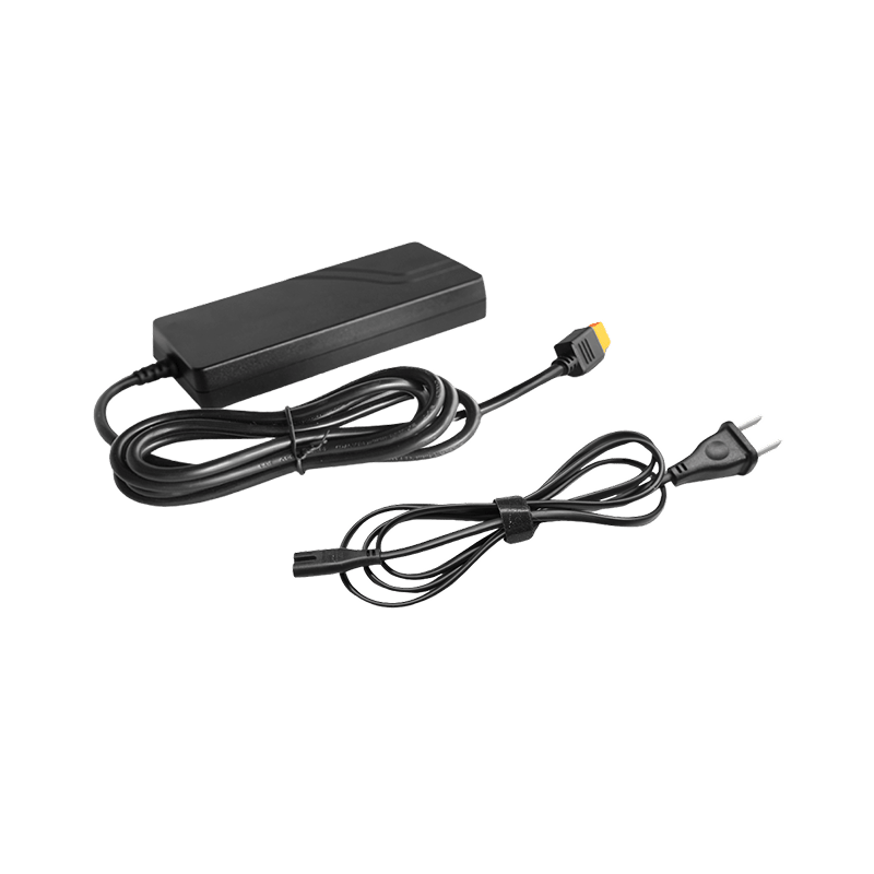EcoFlow Netzadapter