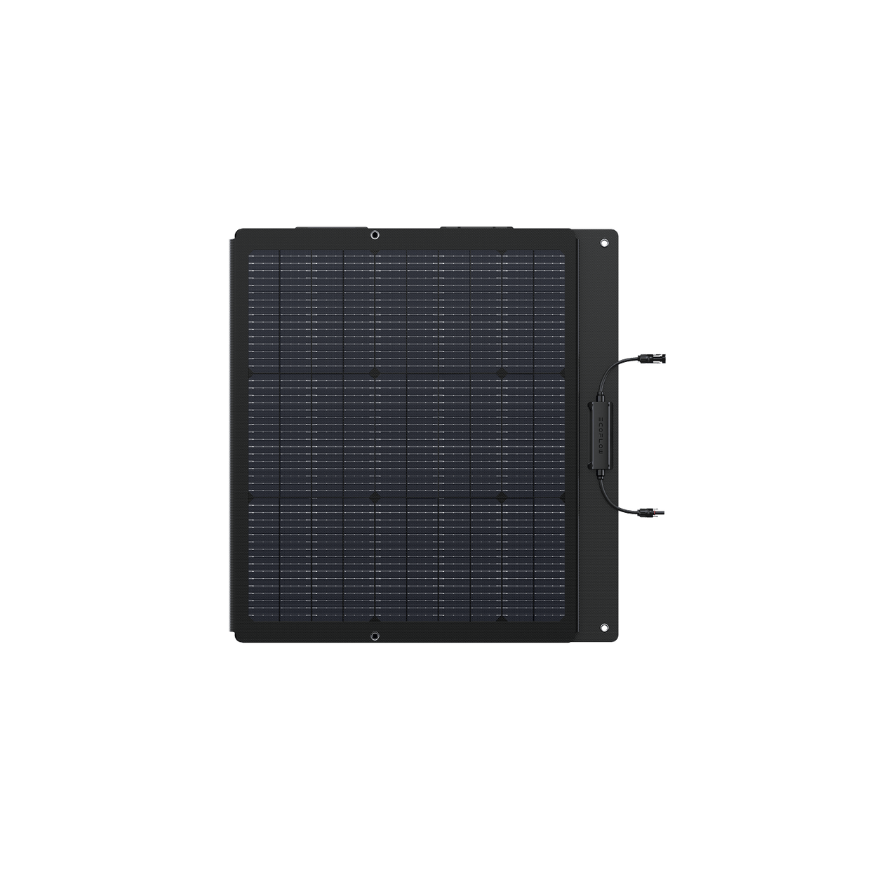 EcoFlow 160 W Leichtes Tragbares Solarpanel