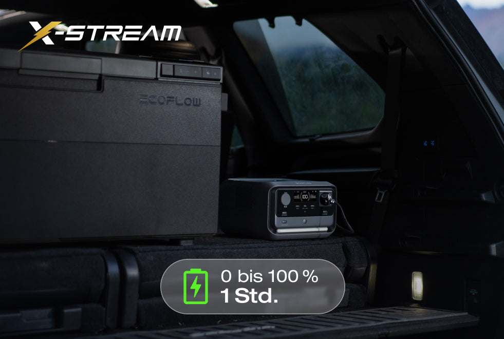 4 Ladeoptionen – Sicher laden von 0–100 % in 1 Stunde