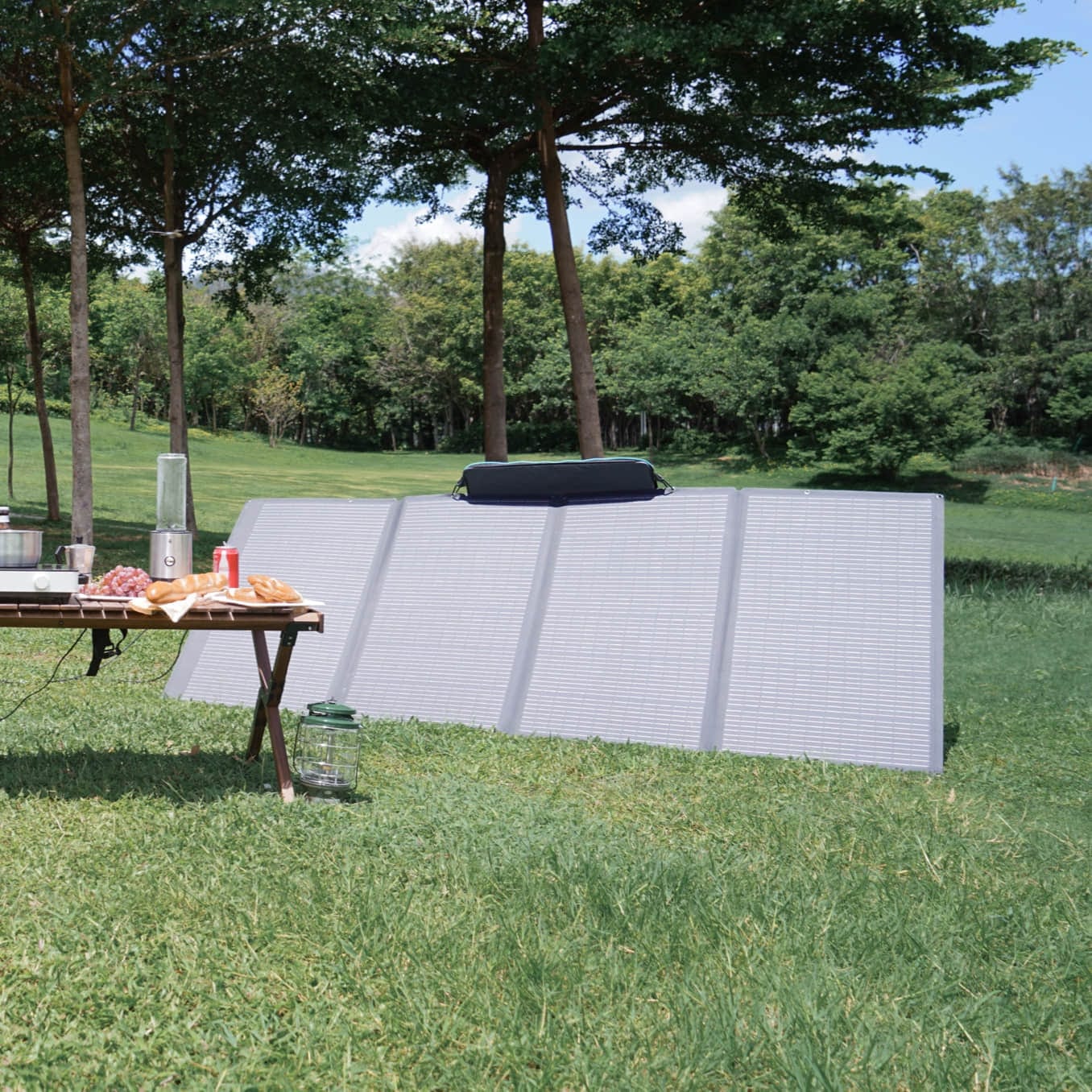 EcoFlow 400W Tragbares Solarpanel (Überholt)