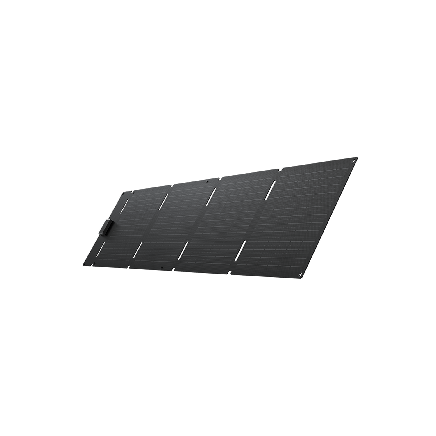 EcoFlow 60 W Tragbares Solarpanel 60 W Solarpanel (Typ-C)