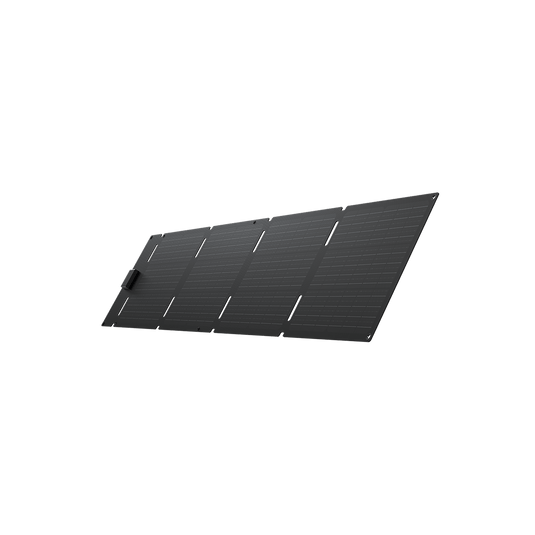 EcoFlow 60 W Tragbares Solarpanel 60 W Solarpanel (Typ-C)