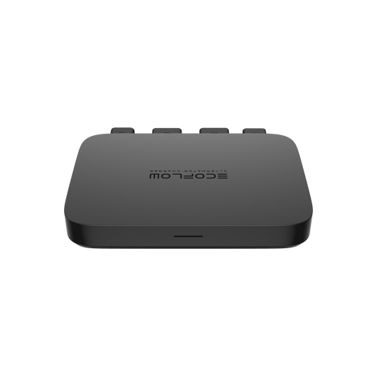 EcoFlow Batterieladegerät 800 W Batterieladegerät