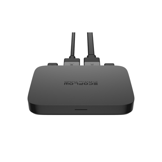 EcoFlow Batterieladegerät 800 W
