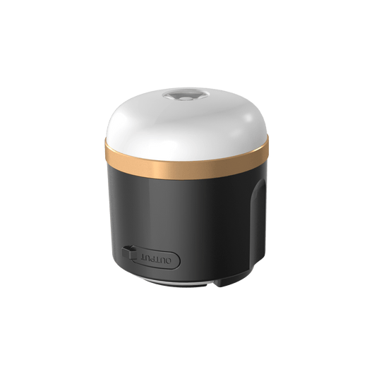 EcoFlow Campinglampe