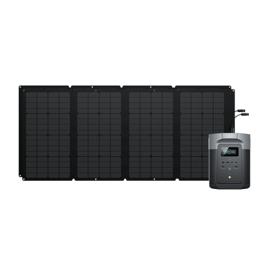 EcoFlow DELTA 2 Max + 160W Tragbares Solarpanel 2
