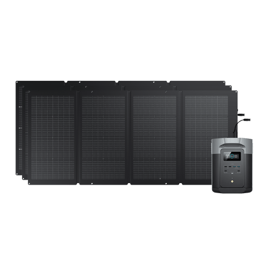 EcoFlow DELTA 2 MAX + 220W Tragbares Solarpanel 3