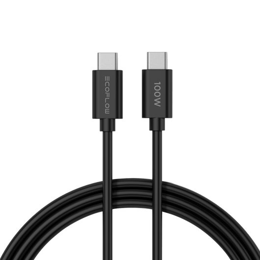 EcoFlow RAPID 65 W GaN Ladegerät mit 100 W Kabel