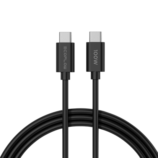 EcoFlow RAPID 65 W GaN Ladegerät mit 100 W Kabel