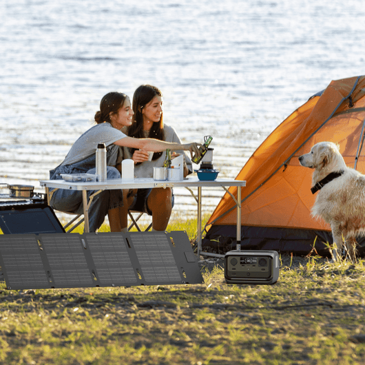 EcoFlow RIVER 3 Plus Solargenerator (PV 60 W)