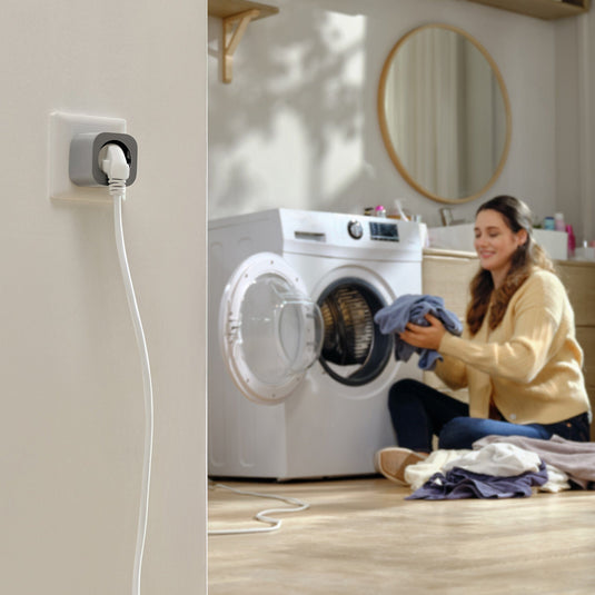 EcoFlow Smart Plug （Gratis）