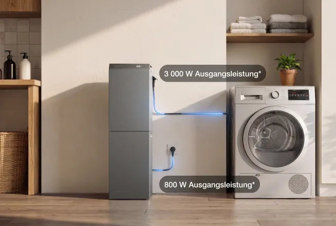 Off-Grid-Ausgang bis zu 3000W*
