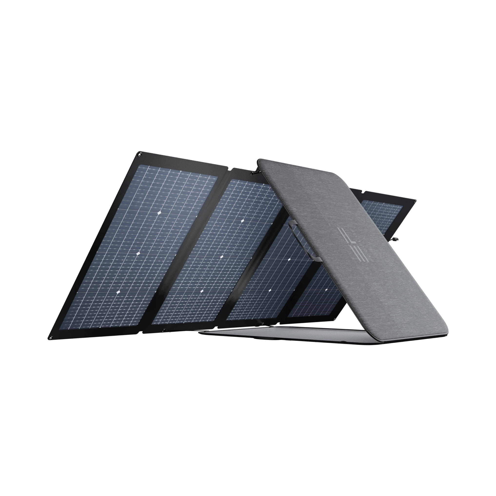 EcoFlow 220W Bifaziales Solarpanel